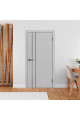 Дверь ДвериПРО ДП-58 Silver Gray глухая кр. матовая черная молдинг Black